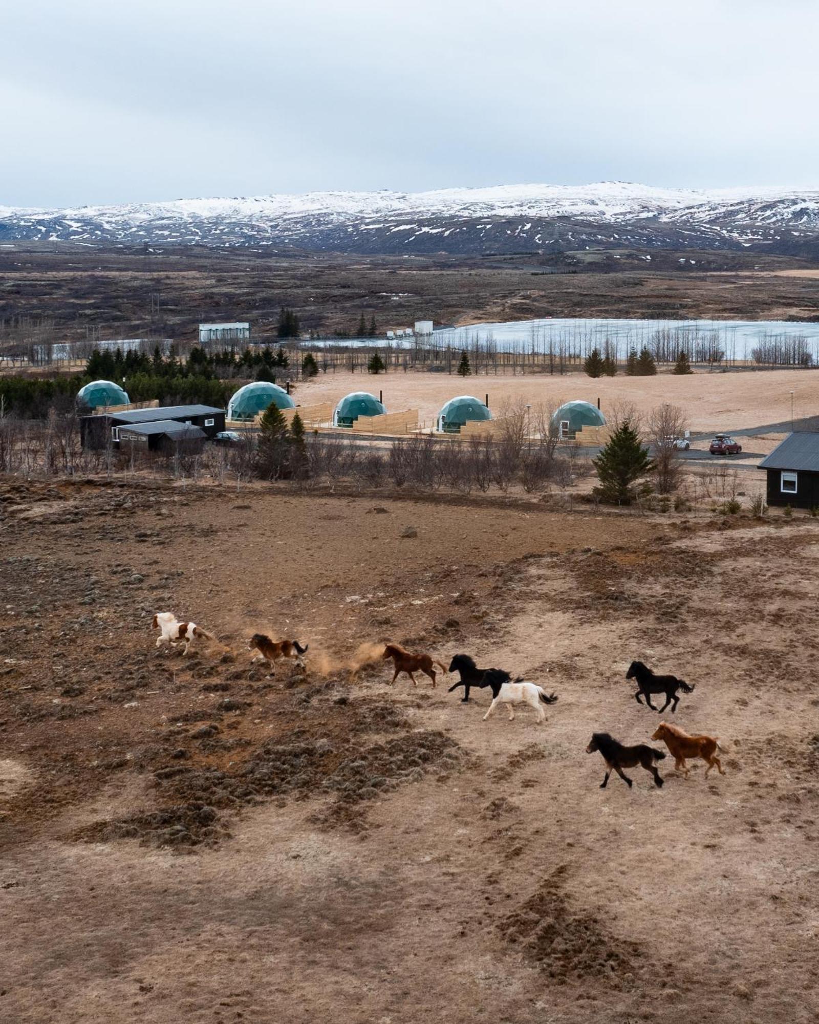 Golden Circle Domes - Lake View Selfoss Bagian luar foto